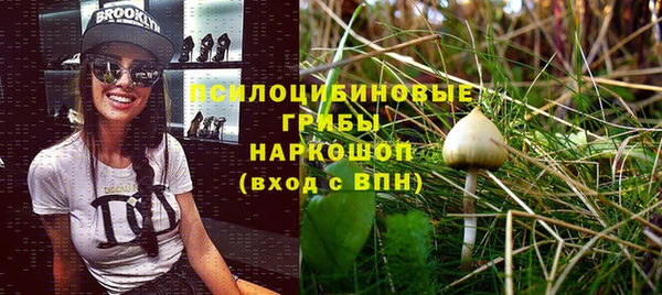 амфетамин Алексеевка